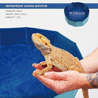 Bearded Dragon Foldable Bath Pool, Collapsible Wading Pool, Swimming Pool Bathtub for Puppy Small Dogs Cats