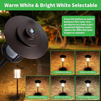 Pathway Landscaping Lighting Low Voltage, 5CCT Adjustable Setting Garden Path Light LED 12V, Outdoor Waterproof Walkway Lights, 5W 150LM ORB All Aluminum for Outside Patio Yard (10 Pack)