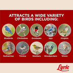Lyric Fruit & Nut Wild Bird Seed Suet Cakes for Wild Birds, 12 oz. (12 Pack)