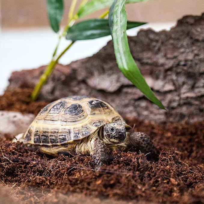 Enhance Your Terrarium's Beauty with Gardenera Terrarium Bedding - Specially Formulated for Ferns and African Violets - 4 QUARTS