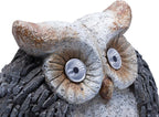 Alpine Corporation 13" Tall Outdoor Solar Powered Owl Yard Statue with LED Lights