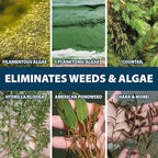 Airmax EasyKlear Pond & Lake Algae & Weed Vegetation Control, 2-in-1 Broad Spectrum Aquatic Herbicide & Algaecide Granular Water Treatment, 15 Pounds