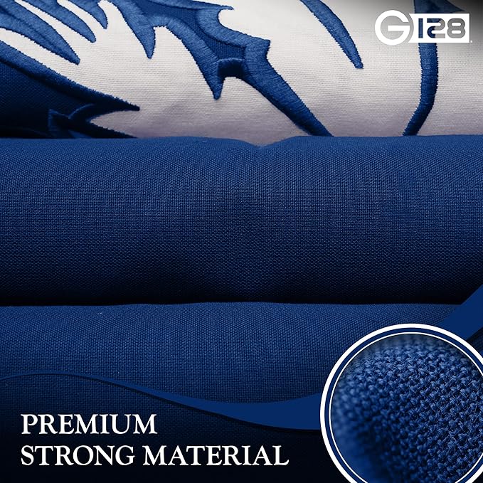 G128 South Carolina SC State Flag | 2x3 Ft | StormFlyer Series Embroidered 220GSM Spun Polyester | Embroidered Design, Indoor/Outdoor, Brass Grommets, Heavy Duty, All Weather