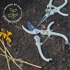 Modern Sprout Hand Pruners & Shears Set - Lightweight Gardening Tools W/Easy Lock - Sharp Carbon Steel Blades -Rust Resistant Scissors for Herbs, Flowers - Reusable Holster - Lavender