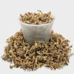 Gardenera Sphagnum Moss Potting Mix for Carnivorous Plants, Moss and Perlite Blend for Potting Venus Fly Traps, Sarracenia, Pitcher Plants - 75% Sphagnum Moss + 25% Perlite - Made in USA - 5 Quart