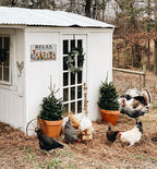 Funny Chicken Gifts Relax We‘re All Crazy It's Not Competition Tin Sign for Home Farm Chicken Coop Farmhouse Kicthen Garden Decor 8 X 12 Inch (3621)