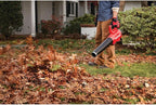 CRAFTSMAN V20 String Trimmer and Leaf Blower Combo Kit, Cordless (CMCK297M1)