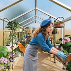6x10 ft Greenhouse for Outdoors, Polycarbonate Greenhouse with Roof Vent, Ground Nails, Lockable Push Door, Aluminum Large Walk-in Green House for Outside Garden Backyard, Patio, Lawn, Silver