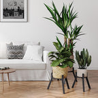 Adjustable Plant Stands Set of 2, Metal Modern Small Plant Holder, Heavy Duty Stable Flower Holder Stand rack for 10-16 Inch Indoor Outdoor Corner Living Room Balcony Office Black PS-007BK-2