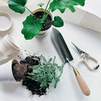 Plant Pruning Shears with Vegan Leather Sheath Garden Trimming Scissors with Belt Holster Bonsai Trimmers Herb Snips Flower Clippers Modern Tools 2 Piece Bundle (Cream Pruner Beige Sheath)
