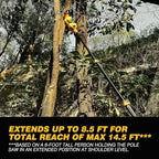 2-in-1 Electric 10-Inch Pole Saw and Chainsaw, Battery Powered Chainsaw Pole Chain Saw, Brushless Motor, 14.5 FT Max Reach Extension Pole for Outdoors Pruning with 1×4.0ah Battery (Battery Included)