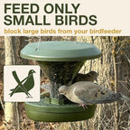 SWISSINNO Big Bird Blocker Ring, Transparent, Prevent Pigeons, Crows and Other unwanted Large Birds Scaring Away Smaller Birds, for Smart Bird Feeder Davos