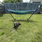 SZHLUX Double Hammock with Stand Included 450lb Capacity Steel Stand, Premium Carry Bag Included.Indoor Outdoor Brazilian-Style Cotton Bed for Backyard, Camping,Garden,Green