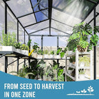 Domi 6.5x8FT Polycarbonate Greenhouse with Automatic Vent, Extra Tall 7.8FT Walk-in Aluminum Frame, Weather-Resistant Green House with Shelves & Hooks for Outdoor Garden, Backyard, Dark Grey