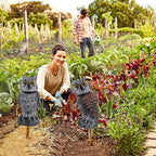 Hausse 2 Pack Bird Scarecrow Fake Owl Decoy Sculpture, Rotating Head Plastic Owl Bird Deterrents, 10.6 Inch Height Nature Enemy Horned Pest Repellent for Outdoor Garden Yard