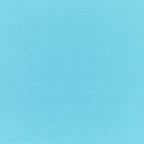 Comfort Classics Sunbrella Outdoor/Indoor Throw Pillow in Sky Blue Inc.
