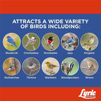 Lyric Supreme Wild Bird Seed Suet Cakes for Wild Birds, 12 oz. (12 Pack)