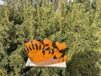 Ceramic Garden Decor - Cat Lawn Stake - Outdoor Statue - Perfect, Unique Gifts for Gardeners Woman, Men, Yard Gifts - Handmade, Frostproof