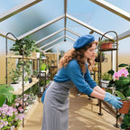 8 x 10 FT Greenhouse, Heavy-Duty Polycarbonate Large Walk-in Greenhouse Roof Vent ,Aluminum Frame & Lockable Door, for Backyard, Green Houses for Outside Garden Backyard