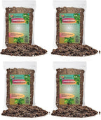 Gardenera Scindapsus Sterling Potting Mix - Unlock Robust Growth and Stunning Leaves with Our High-Performance Formula - 20 Quart