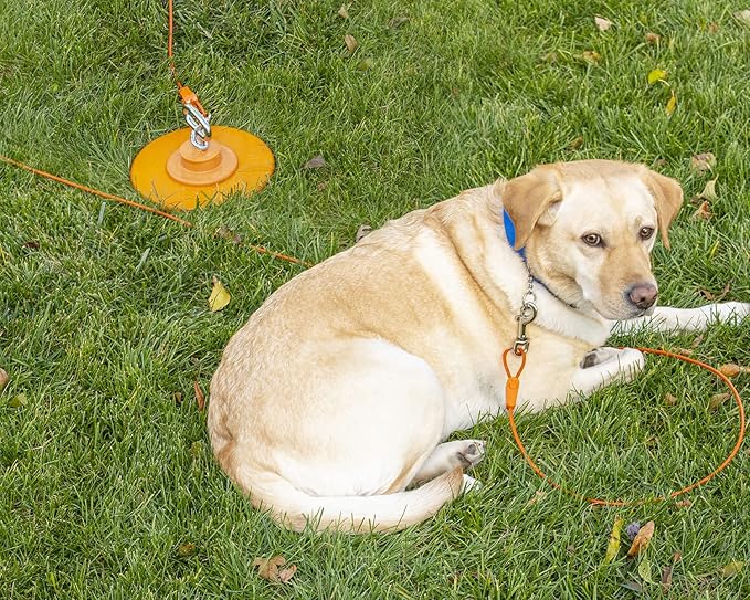 IntelliLeash 30FT Tie-Out Cables for Dogs - Strong, Safe, and Durable Dog Tie-Outs for Every Breed up to 125 Pounds - Weather and Wear Resistant Galvanized Aircraft Cable for Outside Use