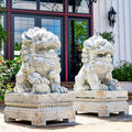 Zaer Ltd. Set of 2 Traditional Fu Dog Garden Statues, Chinese Guardian Lion Sculptures with Pedestals, Made with Magnesium-Cement (Distressed Gray)