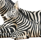 Touch of Class Zebra and Foal Table Sculpture - Resin - Black, White - African Safari Collectible for Bedroom, Living Room, Office, Bookshelf, Mantel, Entryway, Foyer, Nursery