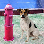 Dog Fire Hydrant Pee Post, 22.4" H Fake Fire Hydrant for Dogs to Pee on, Red Metal Dog Pee Post for Training Tool, Puppy Pee Pole for Dogs Indoor Outdoor Garden Yard Statue