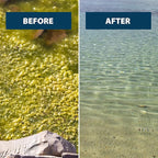 Airmax EasyKlear Pond & Lake Algae & Weed Vegetation Control, 2-in-1 Broad Spectrum Aquatic Herbicide & Algaecide Granular Water Treatment, 15 Pounds