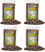 Gardenera Calathea Potting Mix - Unlock Robust Growth and Striking Leaf Patterns with Our High-Performance Formula - 20 Quart