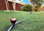 Lulu Decor, Garden Red Gazing Ball Hose Guide, Set of 2. Strong and Decorative Hose Guide that Protects Your Plants and Provides Elegance to Your Garden