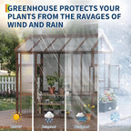6x8 ft Wooden Greenhouse for Outdoor - Heavy Duty Walk-in Green House Kit with 6 mm Polycarbonate,Ventilated Window & Lockable Door for Backyard,Patio,Lawn