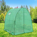 EAGLE PEAK Tunnel Greenhouse Garden Green House with Zippered Door and 2 Roll-up Side Windows, 70.9"x70.9"x78.7", Clear/Green