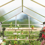 8x10 ft Greenhouse for Outdoors, Polycarbonate Greenhouse with Roof Vent, Ground Nails, Lockable Push Door, Aluminum Large Walk-in Green House for Outside Garden Backyard, Patio, Lawn, Silver