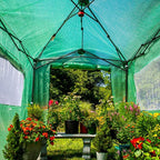 EAGLE PEAK Instant Pop-up Greenhouse, Indoor Outdoor Plant Gardening Green House, Roll-Up Zipper Doors and Side Windows, Walk in 8x6 ft, PE Cover, Green/Clear