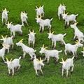 50 Pcs Miniature Goat Figurines Animal Figurines Set Plastic Realistic Mini Resin Lamb for Micro Landscape Fairy Garden Decor DIY Props