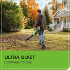 Greenworks 40V (730 CFM / 190 MPH) Cordless Leaf Blower with High Power Brushless Motor, Lightweight Backyard Cleaner for Fast Debris Removal, Includes 5.0Ah Battery & 5A Rapid Charger