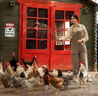 Funny Gifts for Women Chicken Lovers Farm Enthusiasts Beware of The Tiny Raptor Chicken Tin Sign for Chicken Coop Farm Kitchen Garden Yard Decor 8 X 12 Inch (3921)