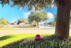Lulu Decor, 2 pcs - 12 Red Matt Finish, Stainless Steel Gazing Mirror Ball, Smooth Finish Garden Decoration Globe (2 Pc)