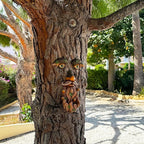 Mood Lab Tree Face Decor - Outdoor Bird Feeder with Acorns - Old Man Tree Face Garden Hugger Decoration