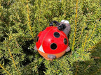 Ceramic Garden Decor - Ladybird Lawn stake - Outdoor statue - Perfect, unique gifts for gardeners woman, men, yard gifts - Handmade, Frostproof