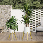 Adjustable Plant Stands Set of 2, Metal Modern Small Plant Holder, Heavy Duty Stable Flower Holder Stand Rack for 10-16 Inch Indoor Outdoor Corner Living Room Balcony Office Golden PS-007GY-2